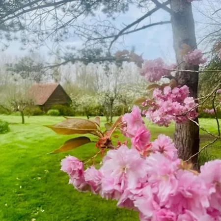 펜션 La Marbecque *